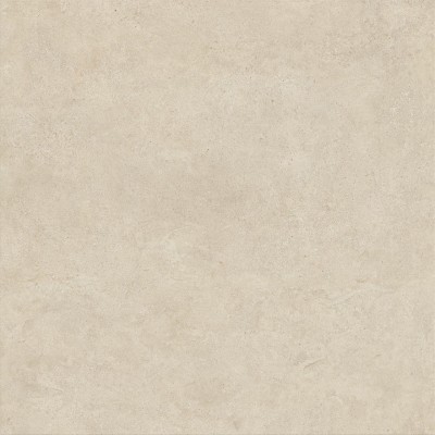 Керамогранит HCJJ Boost Vision Camel Matt 120x120