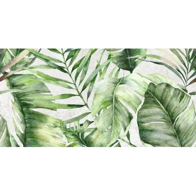 Плитка GT146VG Sombra Серый тропики 50x25