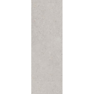 Плитка 14053R Риккарди серый светлый матовый обрезной 40x120