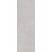 Плитка 14053R Риккарди серый светлый матовый обрезной 40x120