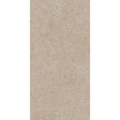 Керамогранит DD590500R Про Лаймстоун АТ бежевый темный натуральный обрезной R10 119,5х238,5