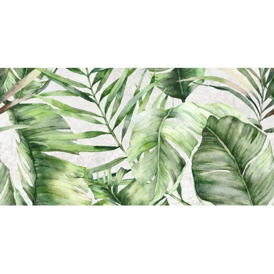 Плитка GT146VG Sombra Серый тропики 50x25