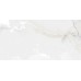 Керамогранит 60120SWX00P Snow Onyx 60x120