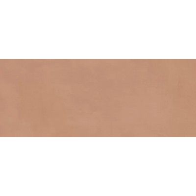 Плитка 7254 Каннареджо оранжевый матовый 20x50x0,8