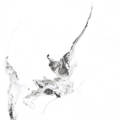 Керамогранит PR129 Videl Bianco polished 600x600x9