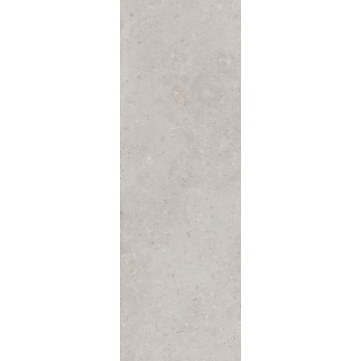 Плитка 14053R Риккарди серый светлый матовый обрезной 40x120