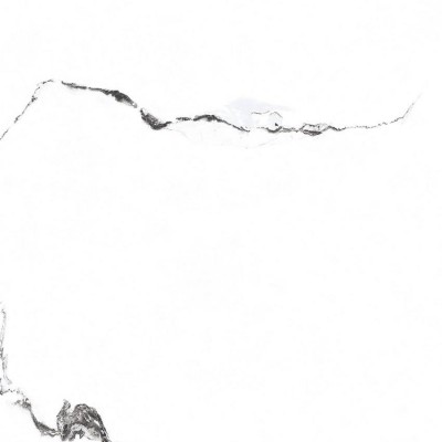 Керамогранит PR129 Videl Bianco polished 600x600x9