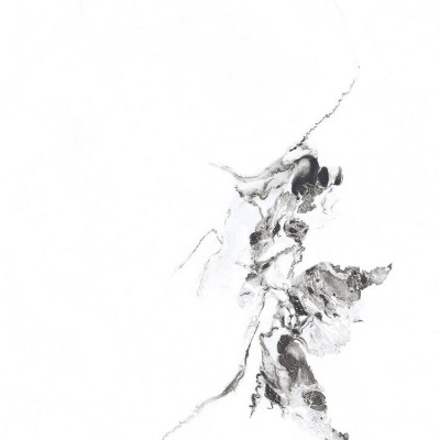 Керамогранит PR129 Videl Bianco polished 600x600x9