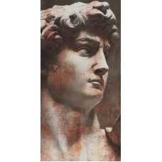 Керамогранит VT/A564/SG591820R Ковер Давид 1 матовый обрезной 119,5х238,5х0,9