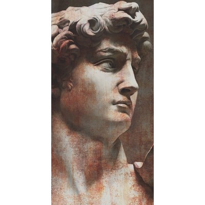 Керамогранит VT/A564/SG591820R Ковер Давид 1 матовый обрезной 119,5х238,5х0,9