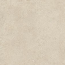 Керамогранит HCJJ Boost Vision Camel Matt 120x120