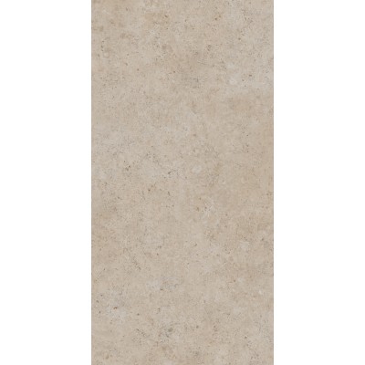 Керамогранит DD590500R Про Лаймстоун АТ бежевый темный натуральный обрезной R10 119,5х238,5