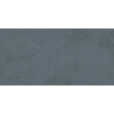 Плитка 48031R Evolution mirtillo матовый обрезной 40x80