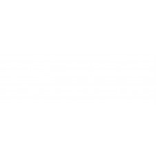 Плитка WT15GRF00R Grafito White 246*740*9,8