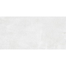 Плитка GT62VG Loft светло-серый 50x25