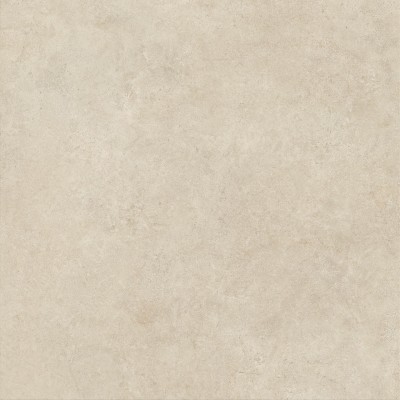 Керамогранит HCJJ Boost Vision Camel Matt 120x120