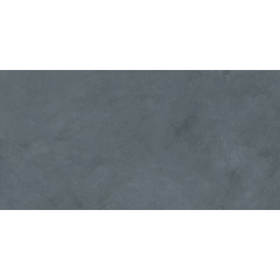 Плитка 48031R Evolution mirtillo матовый обрезной 40x80