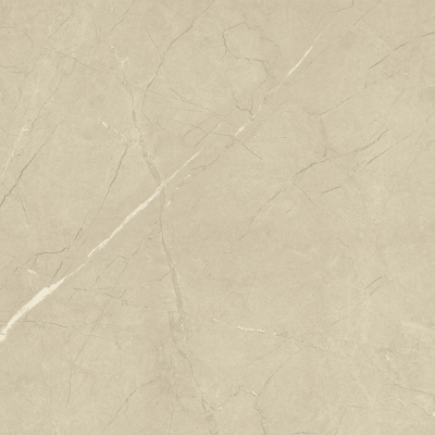 Керамогранит 610010001189 Charme Extra Arcadia Nat Ret 60x60