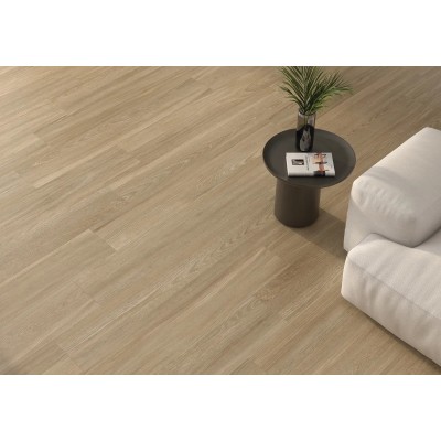 Плитка Concept Haya 120x60