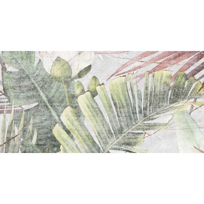 Плитка GT137VG Aventura Тропики 50x25