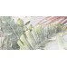 Плитка GT137VG Aventura Тропики 50x25