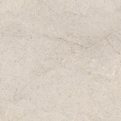 Керамогранит 100348054 Dorcia Bone L 80x80