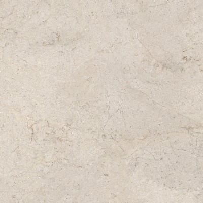 Керамогранит 100348054 Dorcia Bone L 80x80