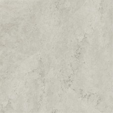 Керамогранит 600010002384 Metropolis Absolut Silver Ret 120x120