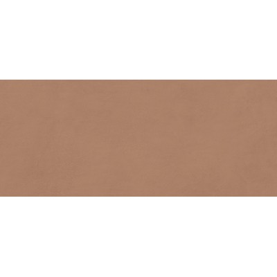 Плитка AYR9 Boost Expression Sienna Matte 50x120