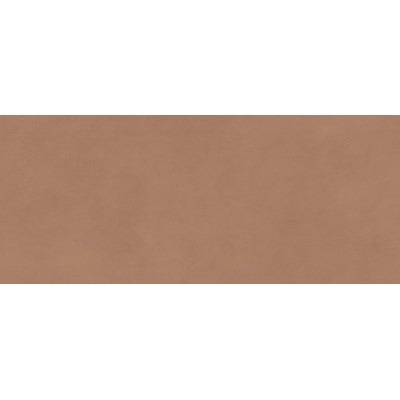 Плитка AYR9 Boost Expression Sienna Matte 50x120