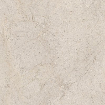 Керамогранит 100348054 Dorcia Bone L 80x80