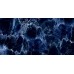 Керамогранит ENACN1015HG60120 Adriatic Blue High Glossy 600х1200х9