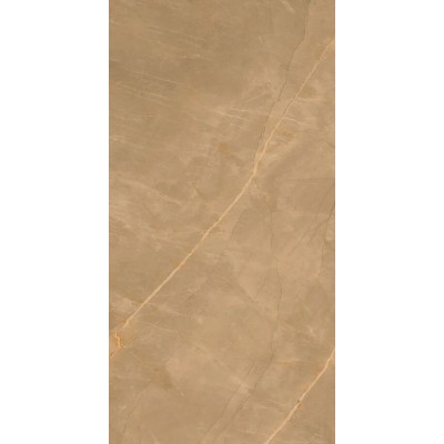Керамогранит Eco Marble Royalish Brown 120x60