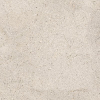 Керамогранит 100348054 Dorcia Bone L 80x80