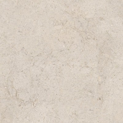 Керамогранит 100348054 Dorcia Bone L 80x80