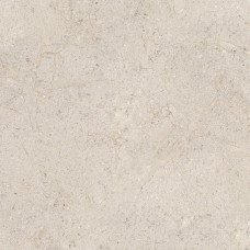 Керамогранит 100348054 Dorcia Bone L 80x80