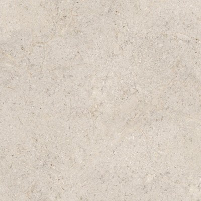 Керамогранит 100348054 Dorcia Bone L 80x80