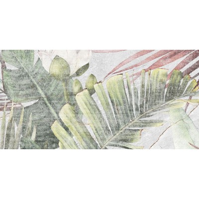 Плитка GT137VG Aventura Тропики 50x25