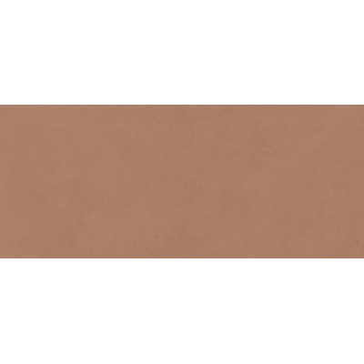Плитка AYR9 Boost Expression Sienna Matte 50x120