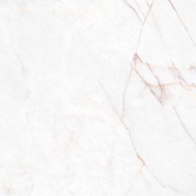 Керамогранит 41431 Dahlia White SP/100X100X0,8/R 100x100