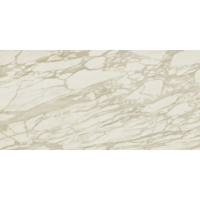Керамогранит AENU Marvel Royal Calacatta Lappato 120x240