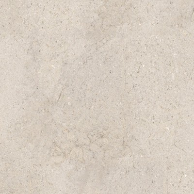 Керамогранит 100348054 Dorcia Bone L 80x80