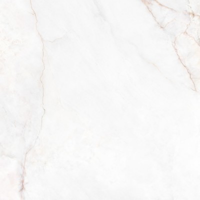 Керамогранит 41431 Dahlia White SP/100X100X0,8/R 100x100