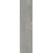 Керамогранит DD520200R Про Нордик серый светлый натуральный обрезной 30*119.5