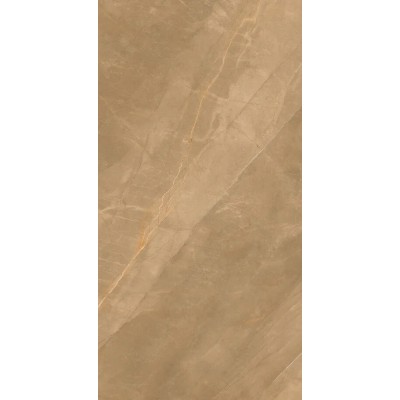 Керамогранит Eco Marble Royalish Brown 120x60