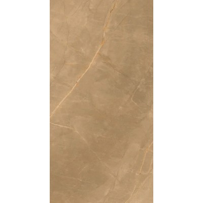 Керамогранит Eco Marble Royalish Brown 120x60