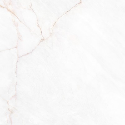 Керамогранит 41431 Dahlia White SP/100X100X0,8/R 100x100