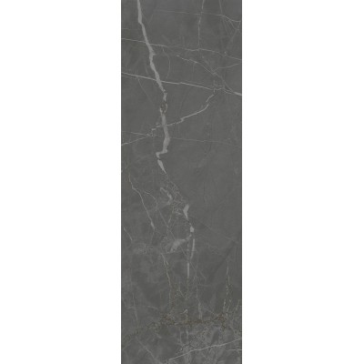 Плитка 13098TR Буонарроти серый темный матовый обрезной 30x89,5x0,9