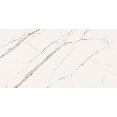 Керамогранит 292A Calacatta Statuarietto Nat RT 60x120