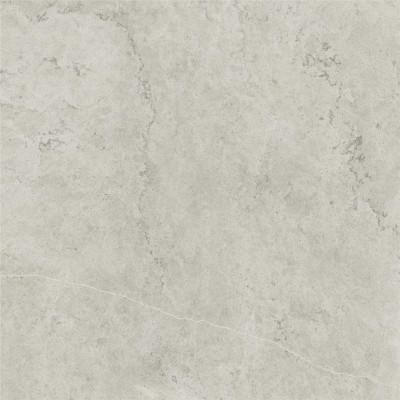 Керамогранит 600010002384 Metropolis Absolut Silver Ret 120x120